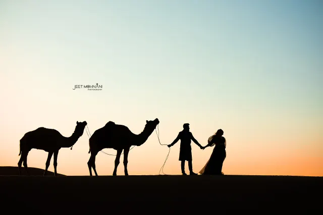Camels and the couple in silhouette at dusk